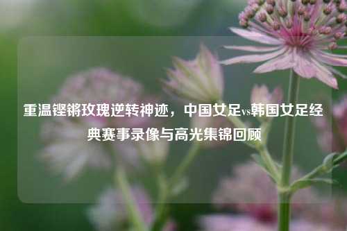 重温铿锵玫瑰逆转神迹，中国女足vs韩国女足经典赛事录像与高光集锦回顾