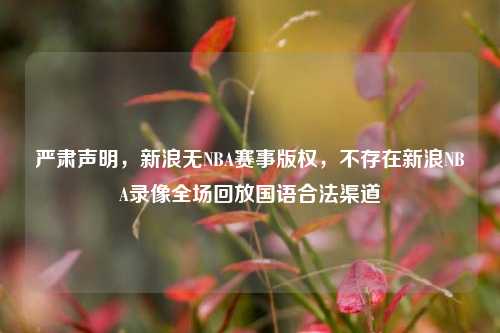 严肃声明，新浪无NBA赛事版权，不存在新浪NBA录像全场回放国语合法渠道