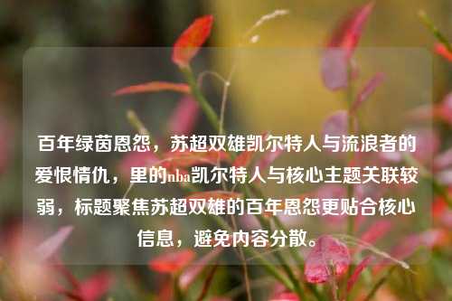 百年绿茵恩怨，苏超双雄凯尔特人与流浪者的爱恨情仇，里的nba凯尔特人与核心主题关联较弱，标题聚焦苏超双雄的百年恩怨更贴合核心信息，避免内容分散。