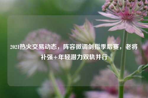 2021热火交易动态，阵容微调剑指季后赛，老将补强+年轻潜力双轨并行