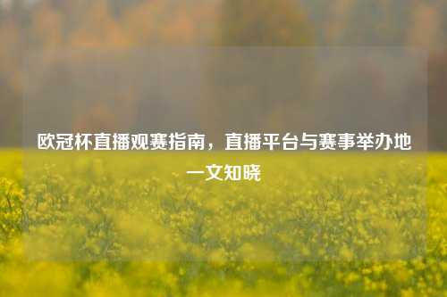 欧冠杯直播观赛指南，直播平台与赛事举办地一文知晓