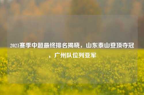 2021赛季中超最终排名揭晓，山东泰山登顶夺冠，广州队位列亚军