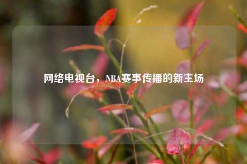      电视台，NBA赛事传播的新主场