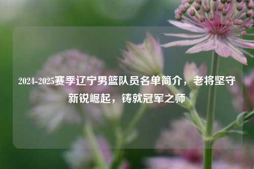2024-2025赛季辽宁男篮队员名单简介，老将坚守新锐崛起，铸就冠军之师