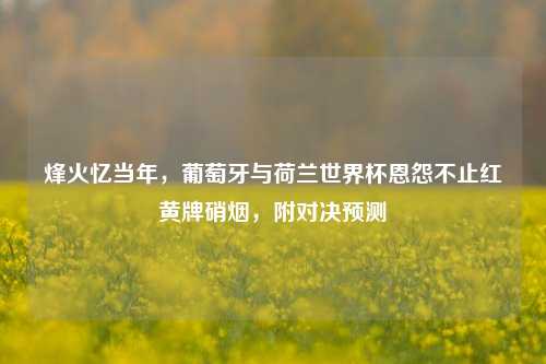 烽火忆当年，葡萄牙与荷兰世界杯恩怨不止红黄牌硝烟，附对决预测