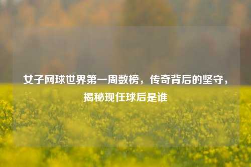 女子网球世界之一周数榜，传奇背后的坚守，揭秘现任球后是谁