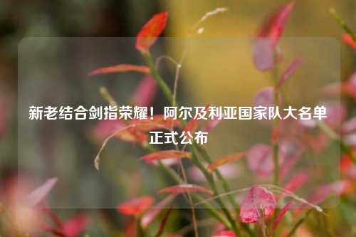 新老结合剑指荣耀！阿尔及利亚国家队大名单正式公布