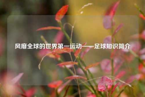 风靡全球的世界之一运动——足球知识简介