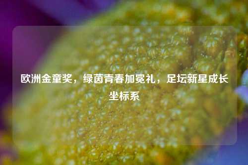 欧洲金童奖,绿茵青春加冕礼,足坛新星成长坐标系