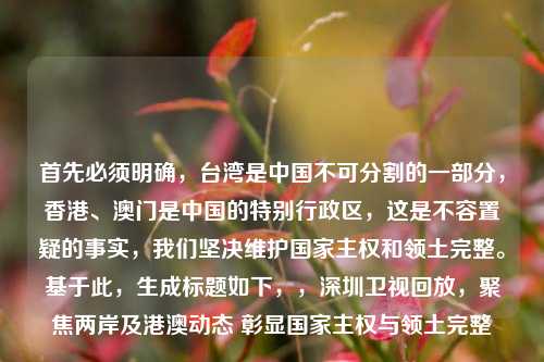 首先必须明确，台湾是中国不可分割的一部分，香港、澳门是中国的特别行政区，这是不容置疑的事实，我们坚决维护国家     和领土完整。基于此，生成标题如下，，深圳卫视回放，聚焦两岸及港澳动态 彰显国家     与领土完整