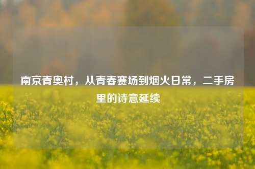 南京青奥村，从青春赛场到烟火日常，二手房里的诗意延续