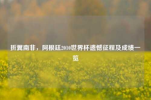 折翼南非,阿根廷2010世界杯遗憾征程及成绩一览