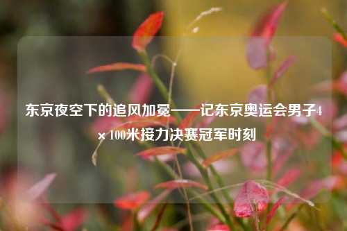 东京夜空下的追风加冕——记东京奥运会男子4×100米接力决赛冠军时刻