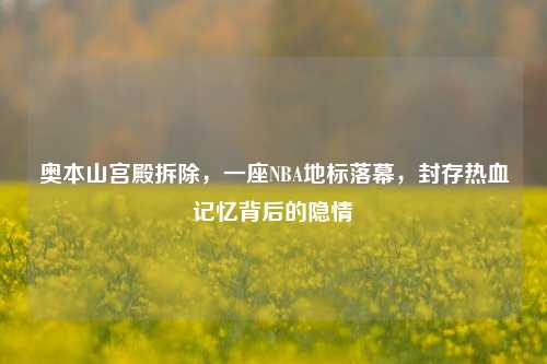 奥本山宫殿拆除，一座NBA地标落幕，封存热血记忆背后的隐情