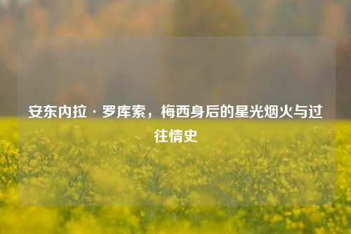 安东内拉·罗库索，梅西身后的星光烟火与过往情史