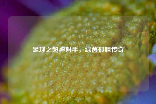 足球之超神射手，绿茵孤胆传奇