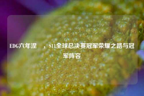 EDG六年涅槃，S11全球总决赛冠军荣耀之路与冠军阵容