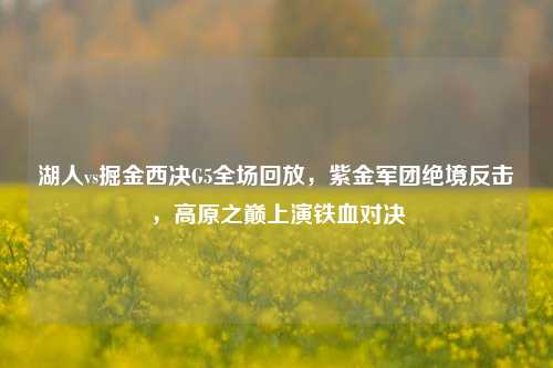 湖人vs掘金西决G5全场回放，紫金军团绝境反击，高原之巅上演铁血对决