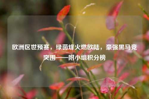 欧洲区世预赛，绿茵烽火燃欧陆，豪强黑马竞突围——附小组积分榜