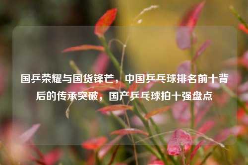 国乒荣耀与国货锋芒，中国乒乓球排名前十背后的传承突破，国产乒乓球拍十强盘点