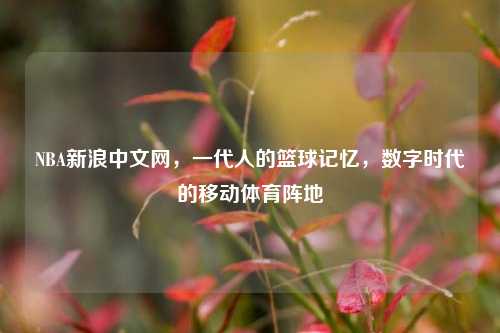 NBA新浪中文网，一代人的篮球记忆，数字时代的移动体育阵地