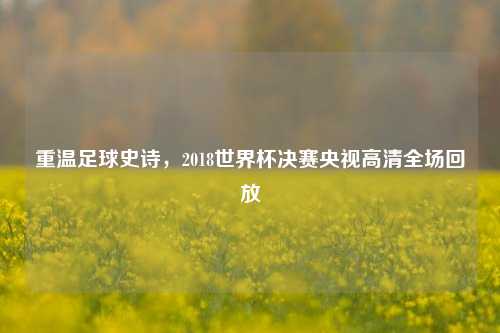 重温足球史诗，2018世界杯决赛央视高清全场回放