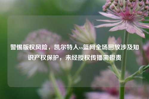 警惕版权风险，凯尔特人vs篮网全场回放涉及知识产权保护，未经授权传播需担责