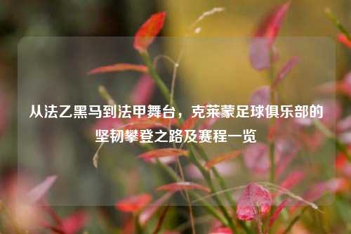 从法乙黑马到法甲舞台,克莱蒙足球俱乐部的坚韧攀登之路及赛程一览