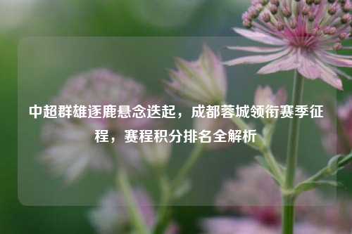 中超群雄逐鹿悬念迭起，成都蓉城领衔赛季征程，赛程积分排名全解析
