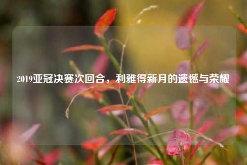 2019亚冠决赛次回合,利雅得新月的遗憾与荣耀