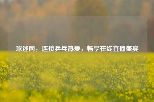 球迷网，连接乒乓热爱，畅享在线直播盛宴