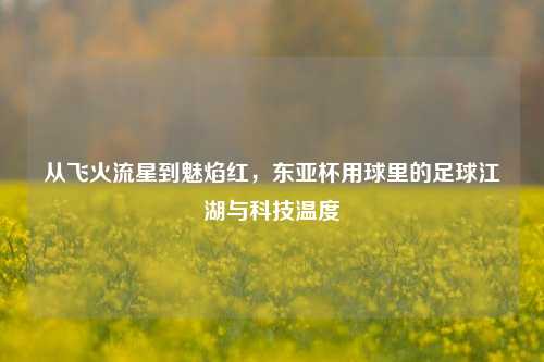 从飞火流星到魅焰红，东亚杯用球里的足球江湖与科技温度