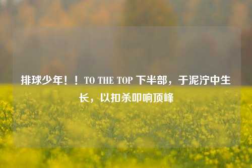 排球少年！！TO THE TOP 下半部，于泥泞中生长，以扣杀叩响顶峰