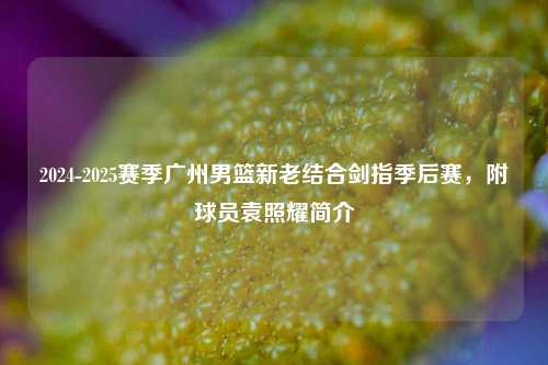 2024-2025赛季广州男篮新老结合剑指季后赛，附球员袁照耀简介