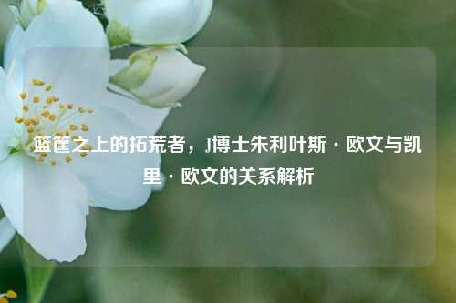 篮筐之上的拓荒者，J博士朱利叶斯·欧文与凯里·欧文的关系解析