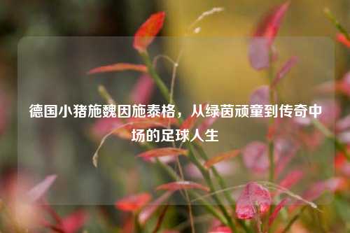 德国小猪施魏因施泰格，从绿茵顽童到传奇中场的足球人生