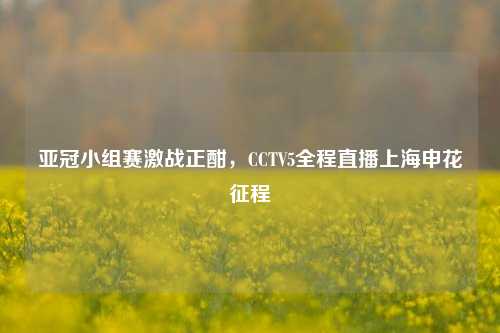 亚冠小组赛激战正酣，CCTV5全程直播上海申花征程