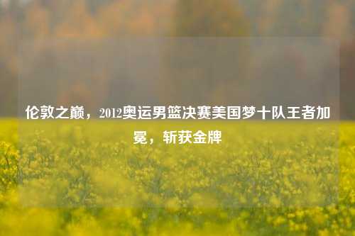 伦敦之巅，2012奥运男篮决赛美国梦十队王者加冕，斩获金牌