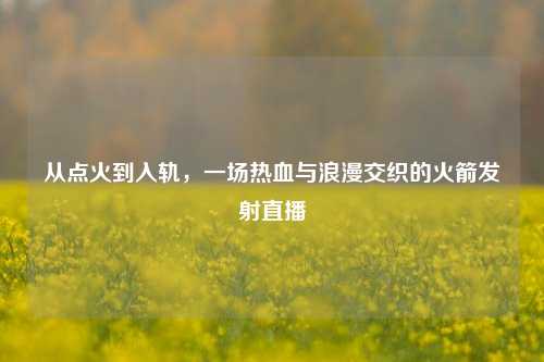 从点火到入轨，一场热血与浪漫交织的火箭发射直播
