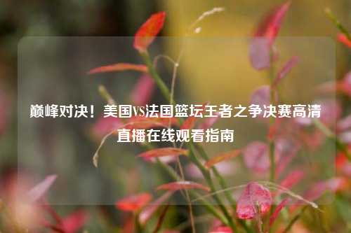 巅峰对决！美国VS法国篮坛王者之争决赛高清直播在线观看指南