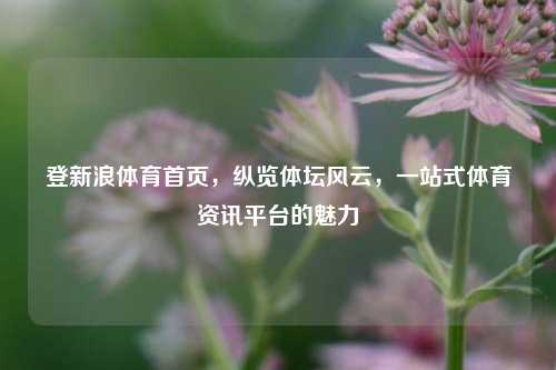 登新浪体育首页,纵览体坛风云,一站式体育资讯平台的魅力