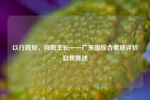 以行践知，向阳生长——广东省综合素质评价自我陈述