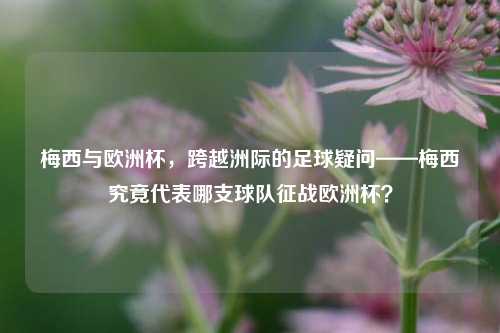 梅西与欧洲杯,跨越洲际的足球疑问——梅西究竟代表哪支球队征战欧洲杯?