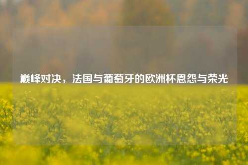 巅峰对决，法国与葡萄牙的欧洲杯恩怨与荣光
