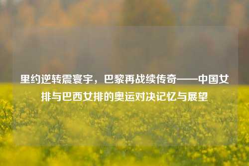 里约逆转震寰宇，巴黎再战续传奇——中国女排与巴西女排的奥运对决记忆与展望