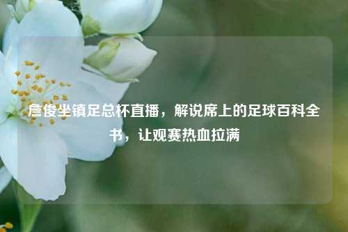 詹俊坐镇足总杯直播，解说席上的足球百科全书，让观赛热血拉满