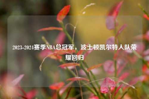 2023-2024赛季NBA总冠军，波士顿凯尔特人队荣耀回归