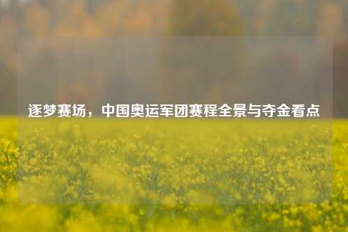 逐梦赛场，中国奥运军团赛程全景与夺金看点
