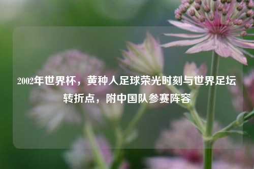 2002年世界杯，黄种人足球荣光时刻与世界足坛转折点，附中国队参赛阵容