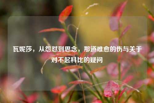 瓦妮莎，从怨怼到思念，那道难愈的伤与关于对不起科比的疑问